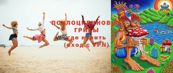 соль ск Алексеевка